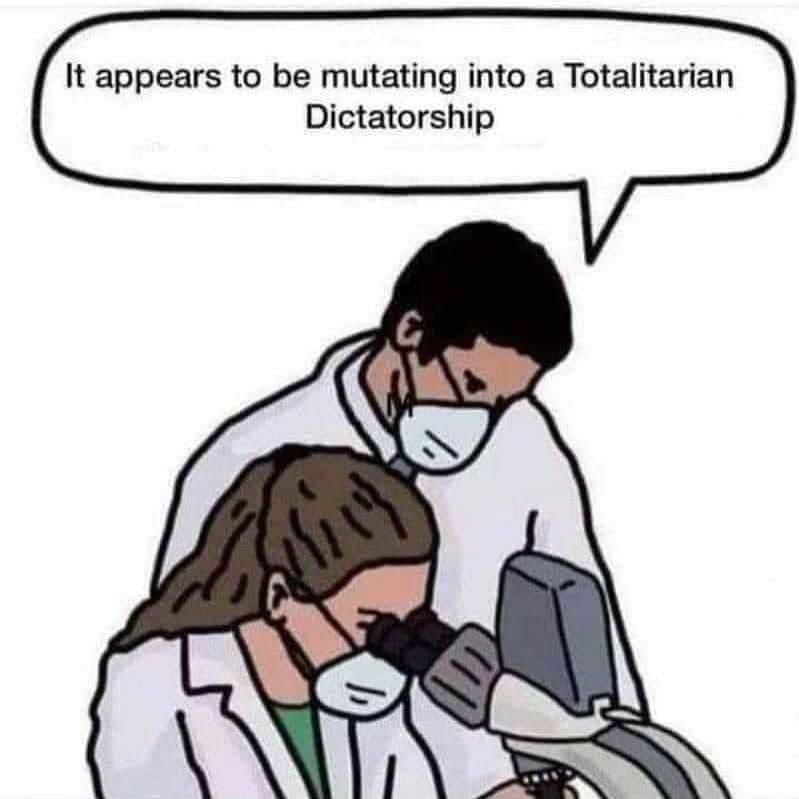 Blog image 'Blog Image'